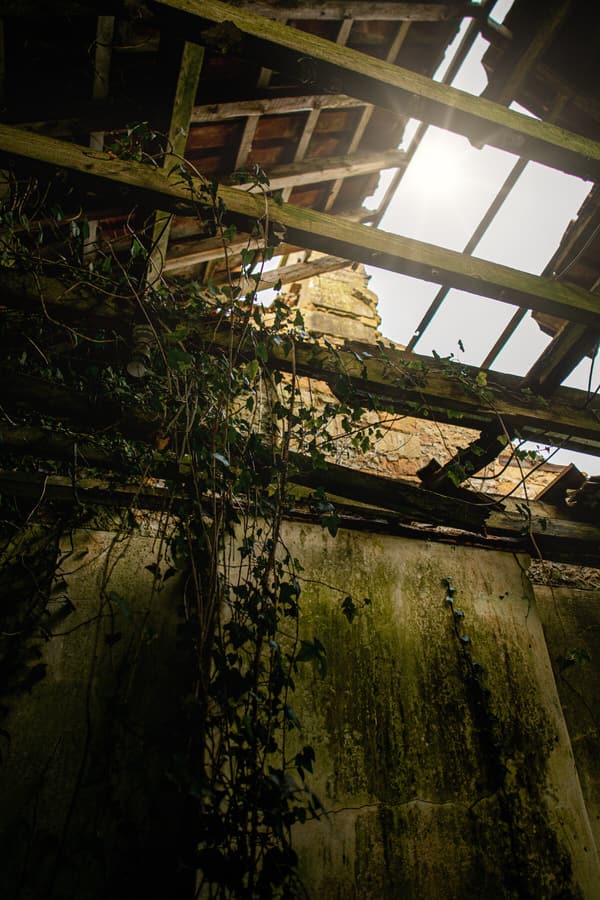 1L9A2347-Edit
